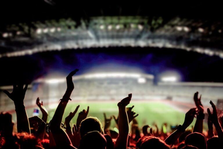 soccer-fans-at-a-game-in-a-stadium
